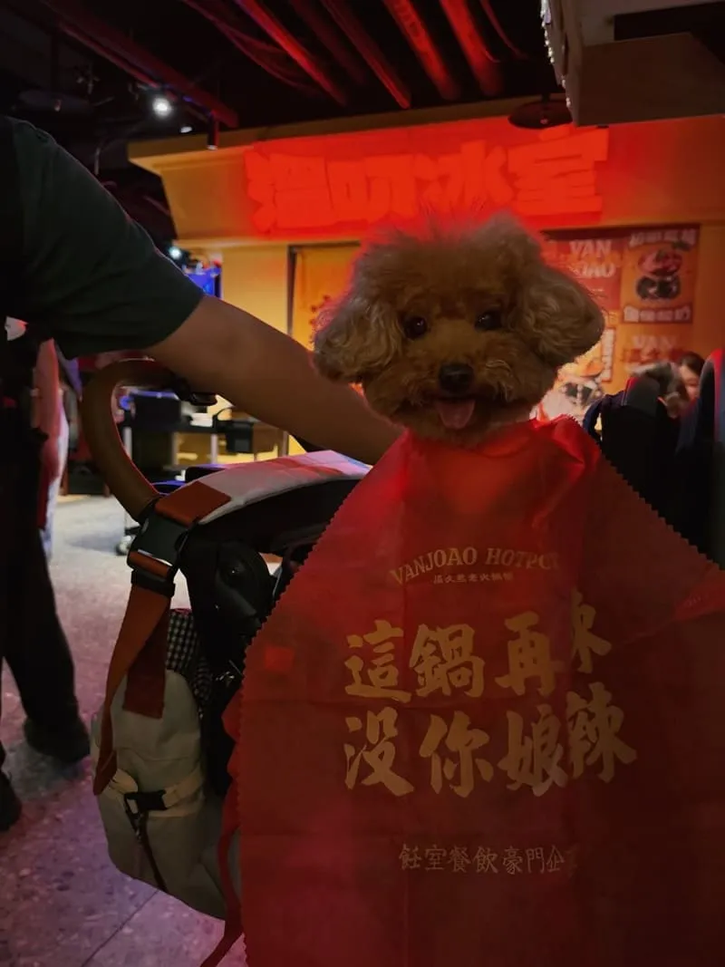溫久熬老火鍋館
