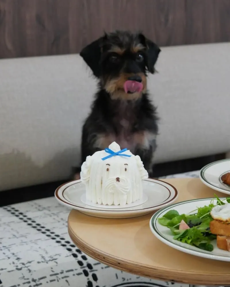 Fur Sure Cafe 咖啡廳
