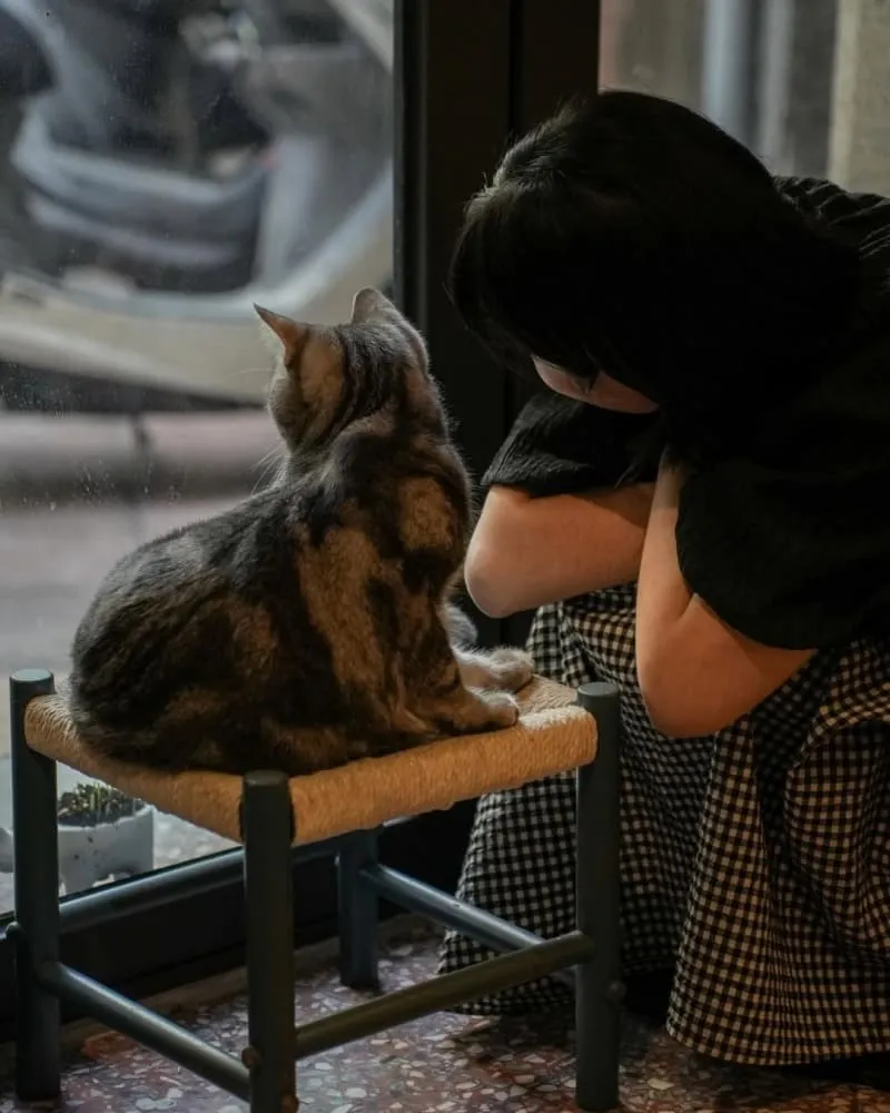 稲満珈琲 inamitsu cafe