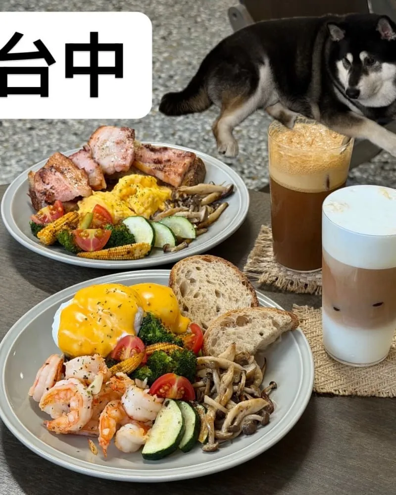 尾巴晃晃