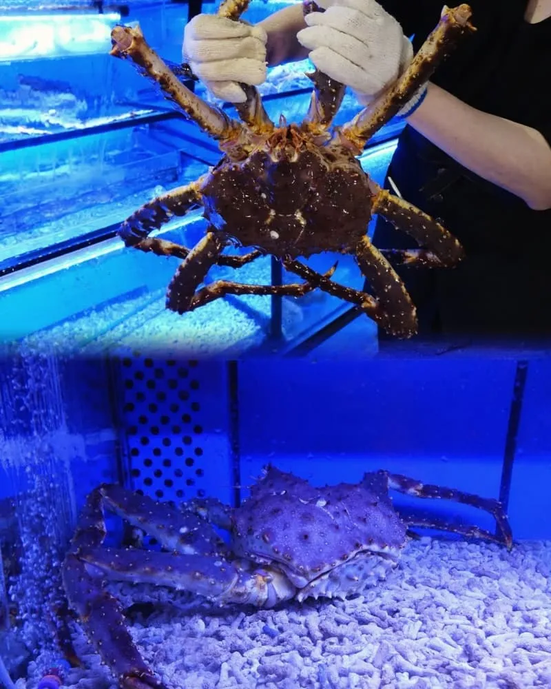 拿靠生猛海鮮