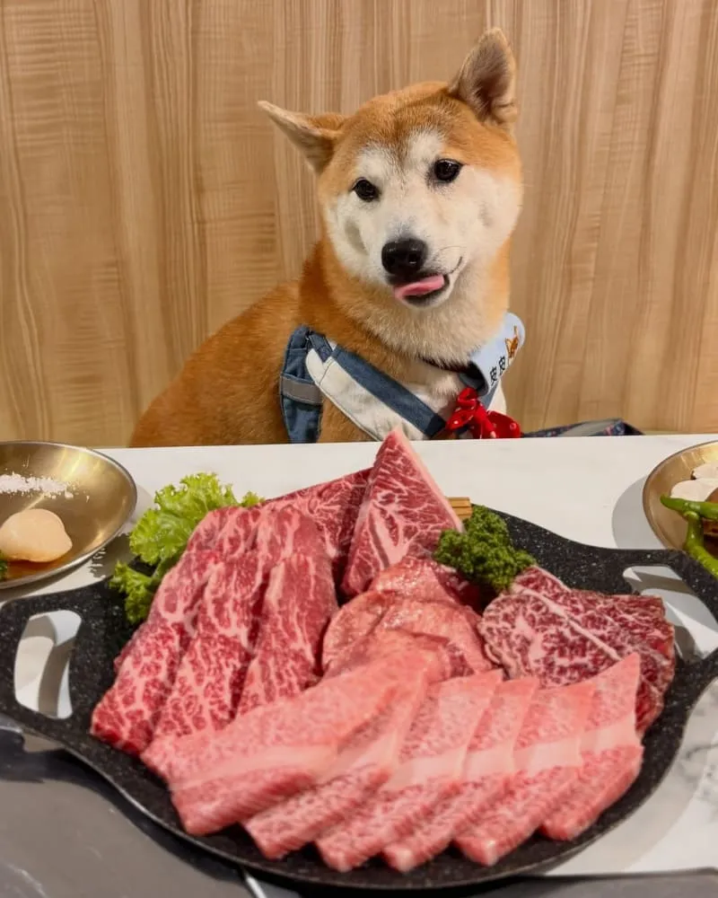 Sogeum鹽韓式燒肉