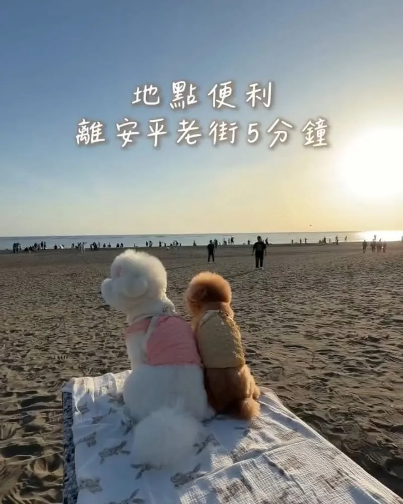 晒木民宿 Sunwood|台南安平包棟民宿