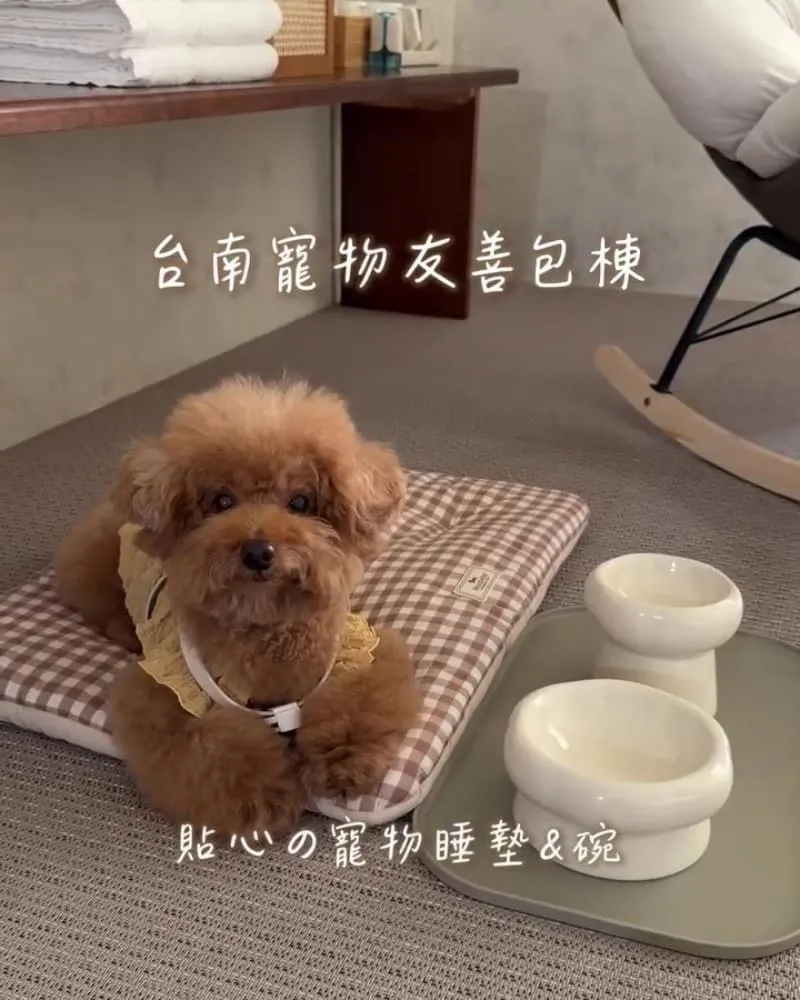 晒木民宿 Sunwood|台南安平包棟民宿