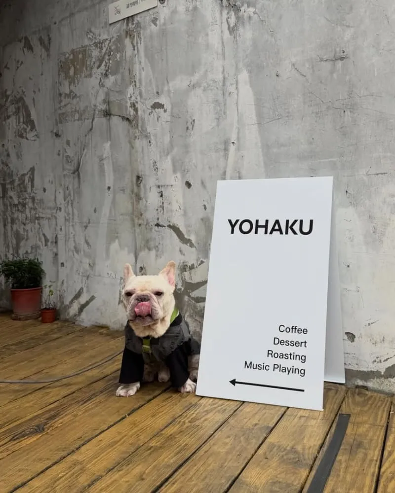 余白咖啡 Yohaku coffee