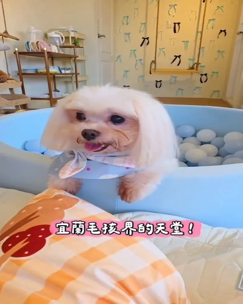 尾巴間咖啡 CornerTail
