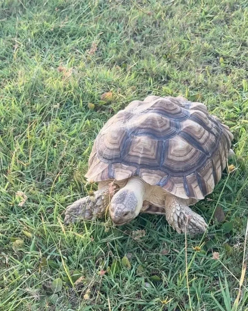 基隆潮境公園