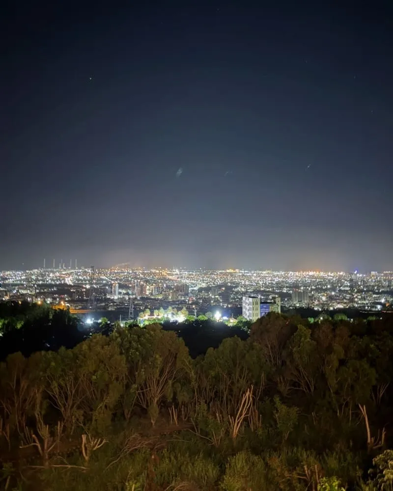 山山有風 Shan Shan Wild