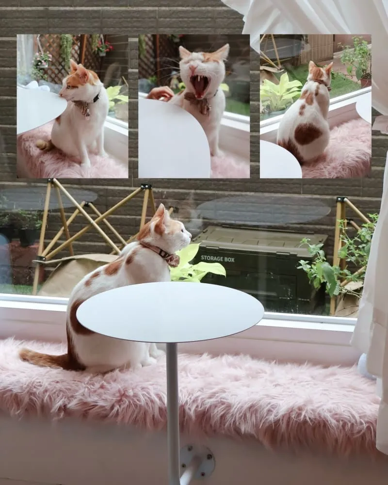 桑桑SUN SUN