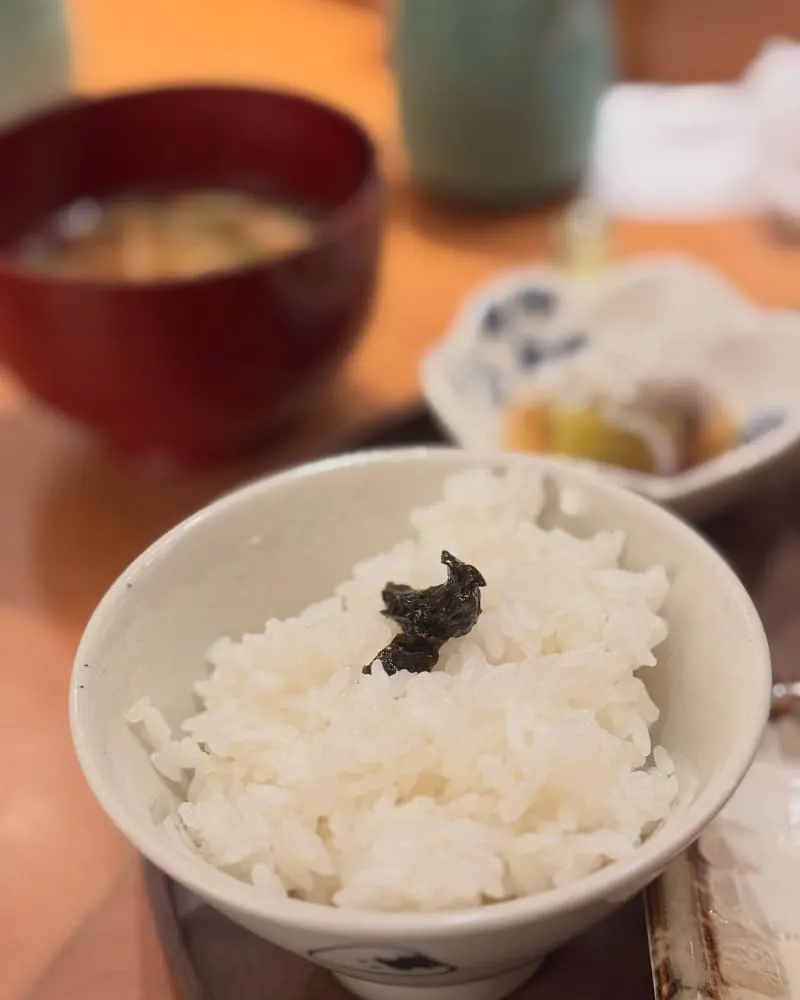 朝炭Asasumi
