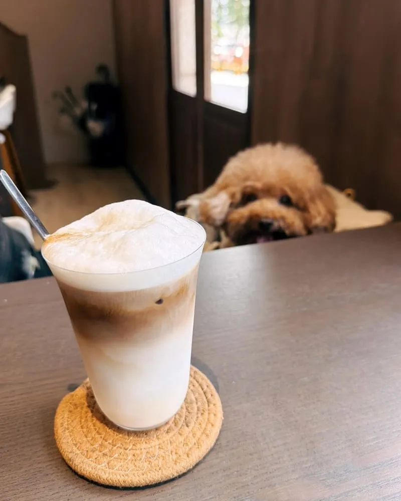 Bar NVM 桃園