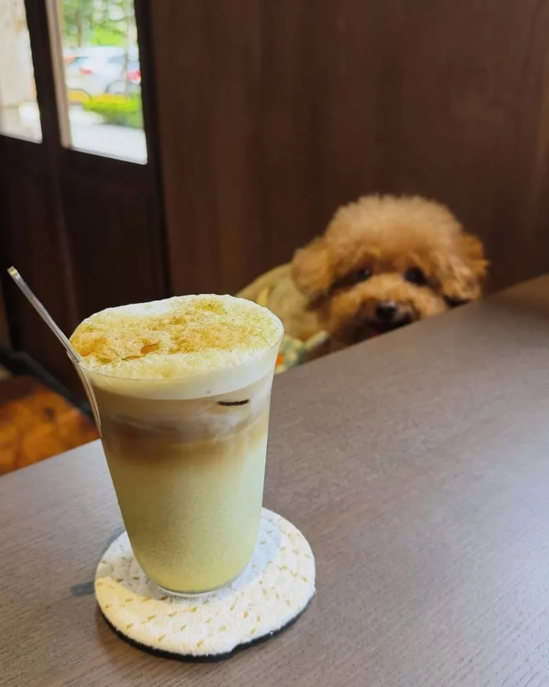 Bar NVM 桃園