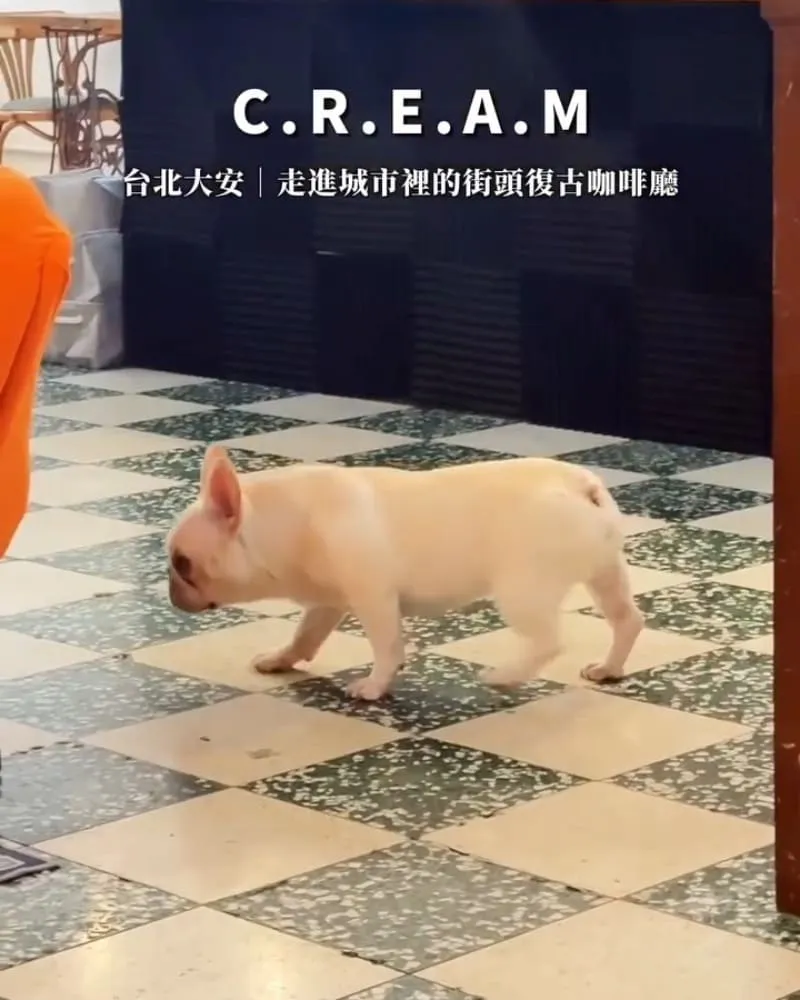 C.R.E.A.M 台北大安咖啡廳
