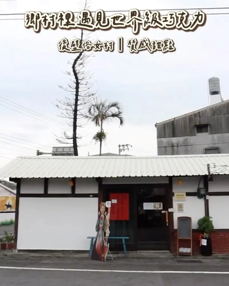 稻甜找貓貓