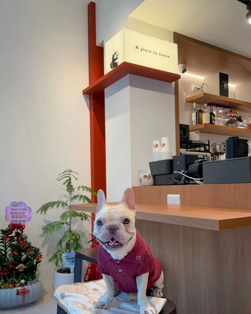 Island Time Coffee Roasters 嶼時咖啡