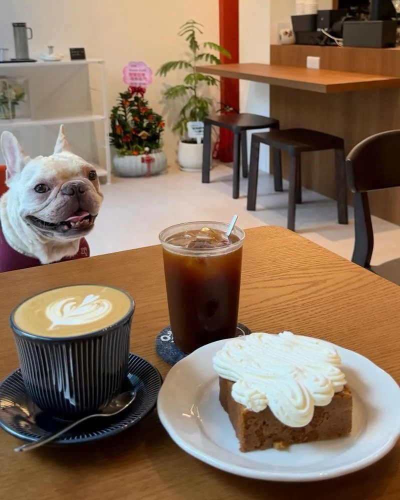 Island Time Coffee Roasters 嶼時咖啡