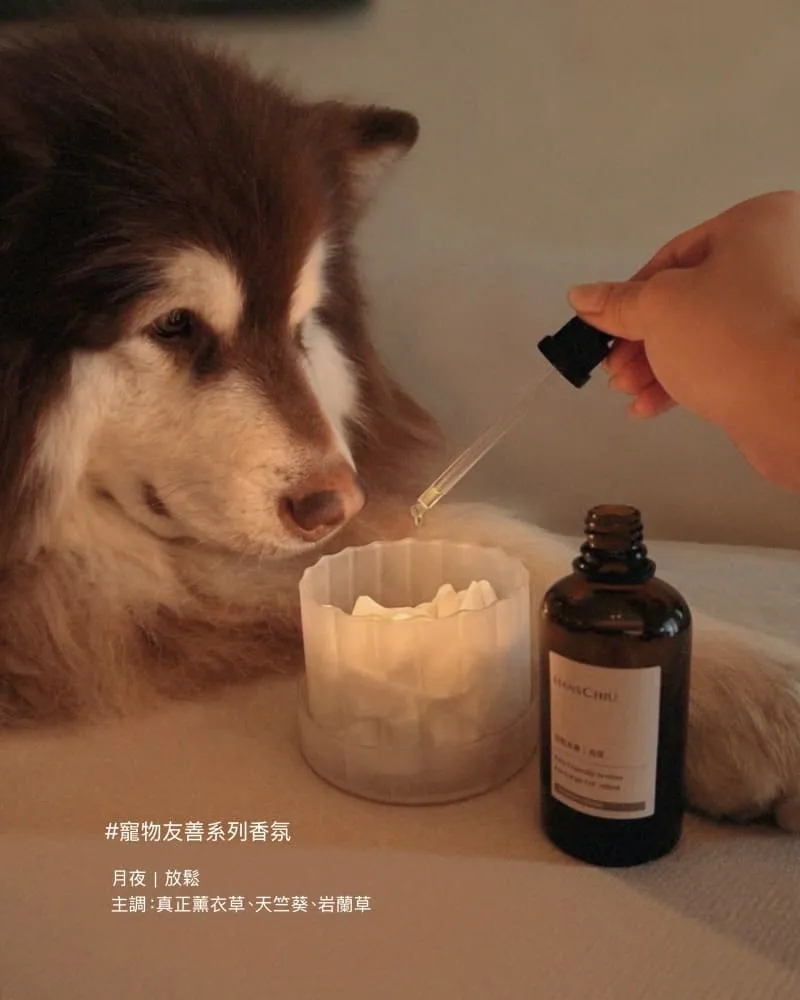 HANSCHIU × Knolleaf 福兔呈祥工藝禮盒