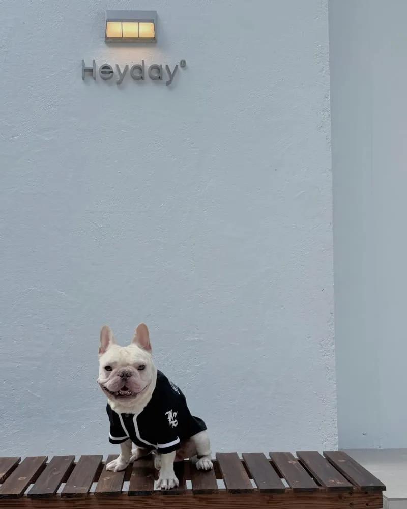 Heyday 台北咖啡廳