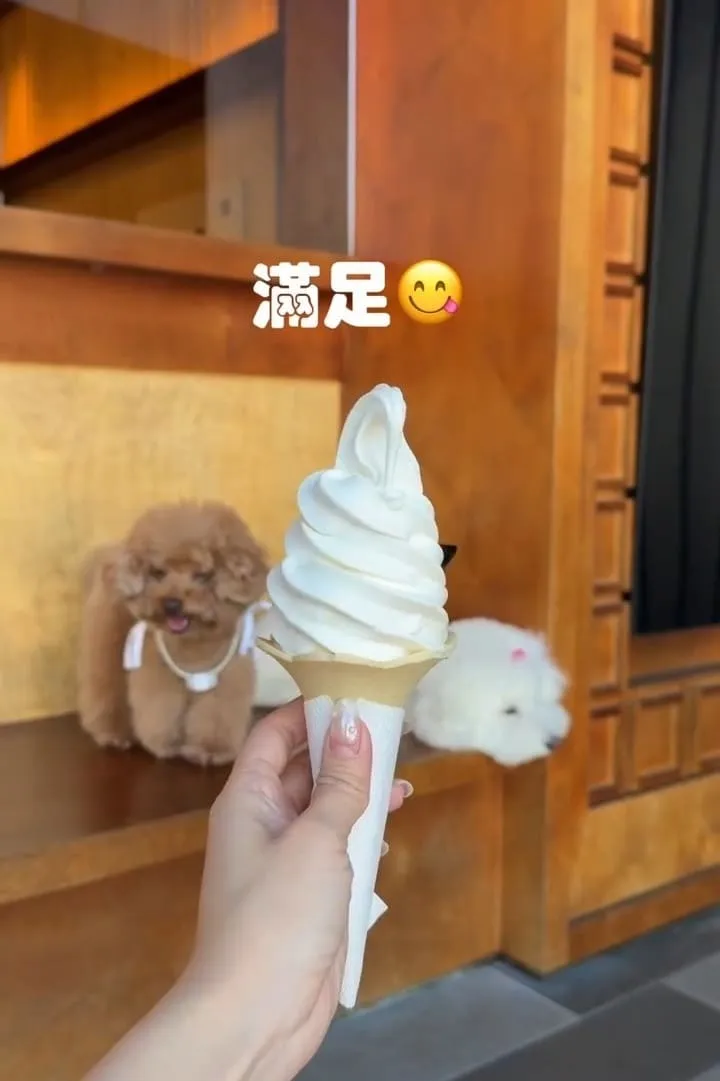 南投埔里橫濱拉麵