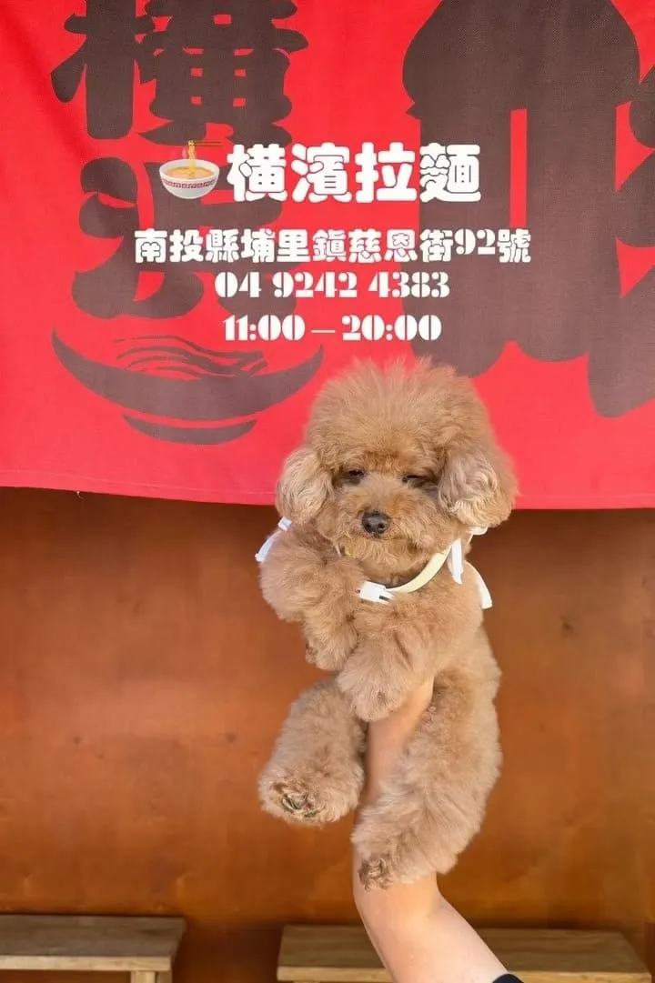 南投埔里橫濱拉麵