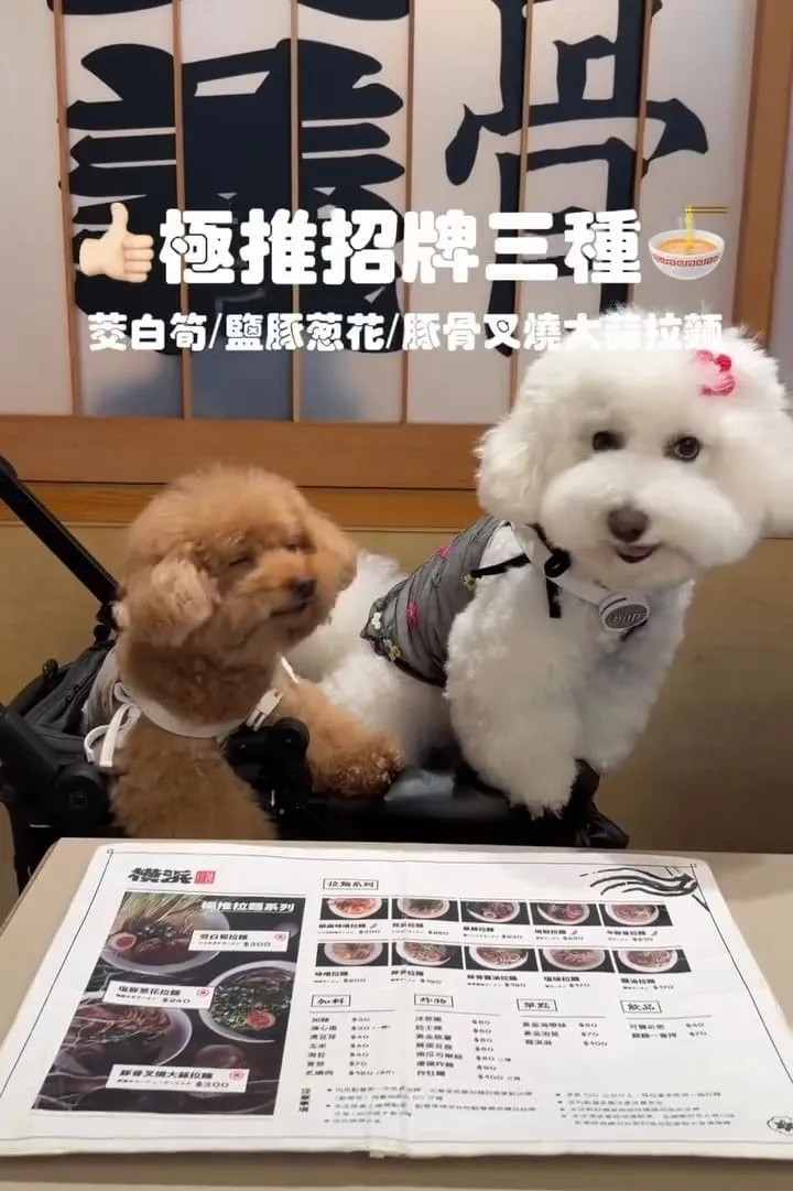南投埔里橫濱拉麵