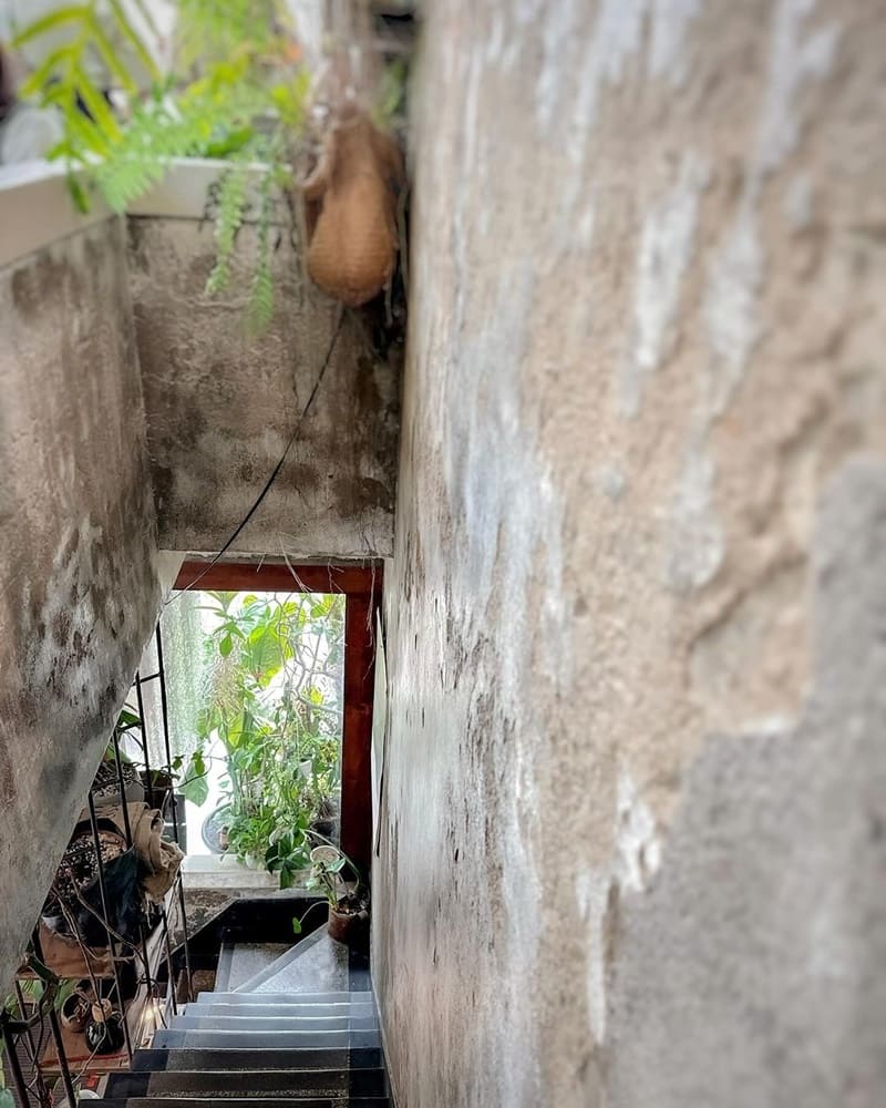 「小北家灶咖ZAOKA」台南中西區五星餐廳|營養均衡餐單,小清新森林系享受美食盛宴!