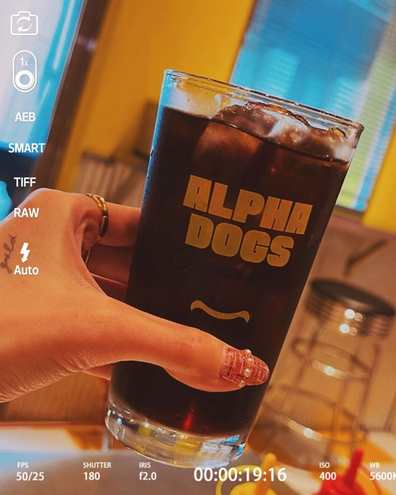 「Alpha Dog」中山區美式熱狗店｜色彩繽紛、份量十足，彷彿置身美劇場景，快來品味獨特口味！