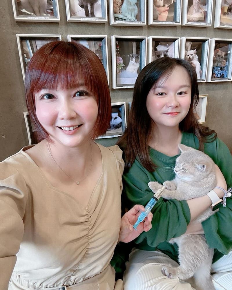 「凹凹 Miao Woo」台中西區寵物餐廳｜融合美食與貓咪互動，專業療癒體驗令人陶醉！

