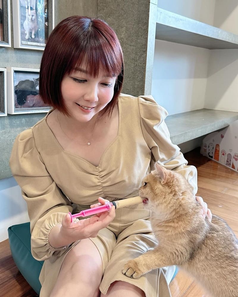 「凹凹 Miao Woo」台中西區寵物餐廳｜融合美食與貓咪互動，專業療癒體驗令人陶醉！