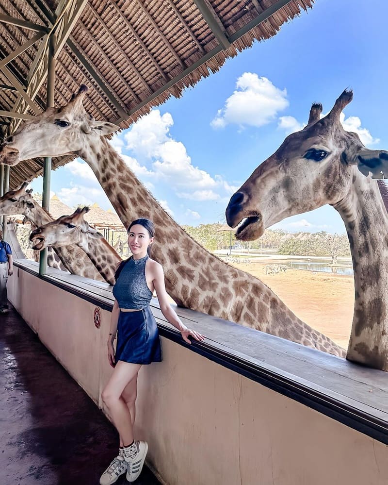 「Safari World」泰國曼谷野生動物園｜近距離野生奇遇，動物園雙重魅力，專業行程省心又精彩！