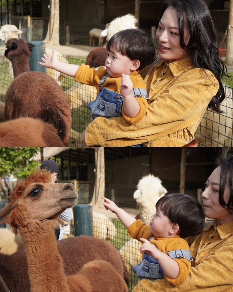 「綠世界生態農場」 新竹北埔奇幻動植物王國｜亞洲最大雨林園區、生態探索之旅！