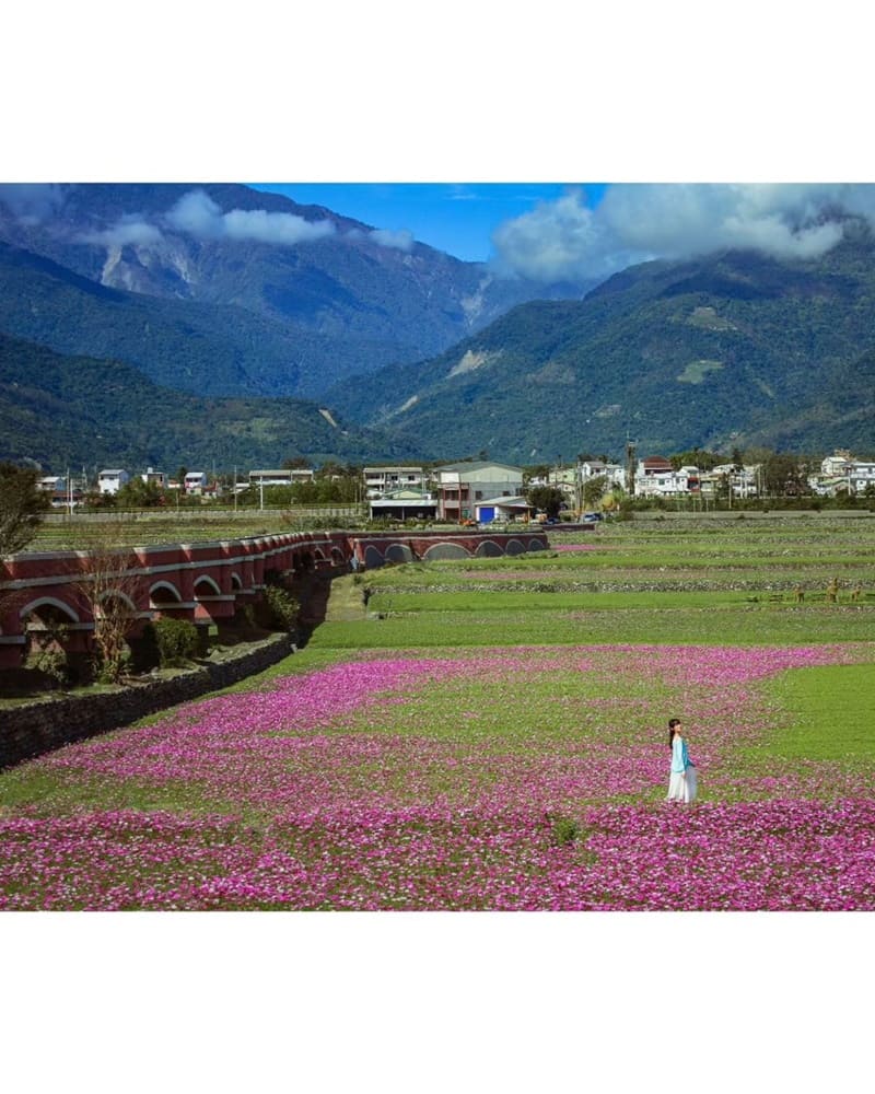 鹿野瑞隆村,隱藏在台東的花東縱谷中,是一處寧靜而迷人的地方。 這裡有著令人陶醉的二層坪水橋,其粉紅色的拱形身影在田野間綿延著,成為鄉間風情的最佳代表。