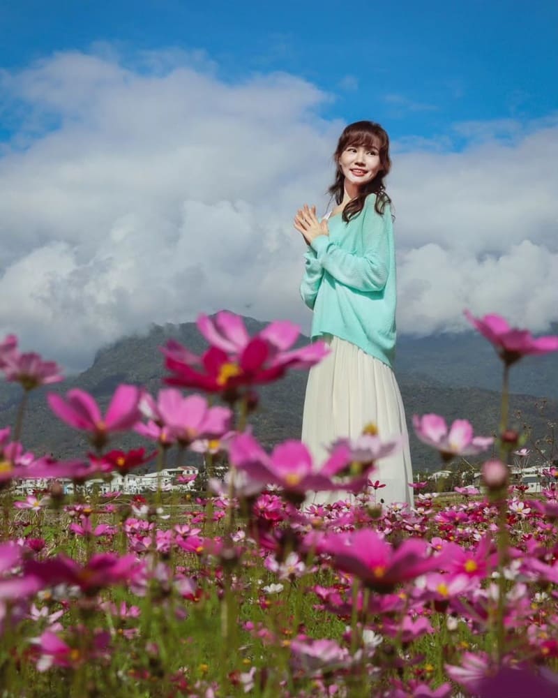 鹿野瑞隆村，隱藏在台東的花東縱谷中，是一處寧靜而迷人的地方。 這裡有著令人陶醉的二層坪水橋，其粉紅色的拱形身影在田野間綿延著，成為鄉間風情的最佳代表。