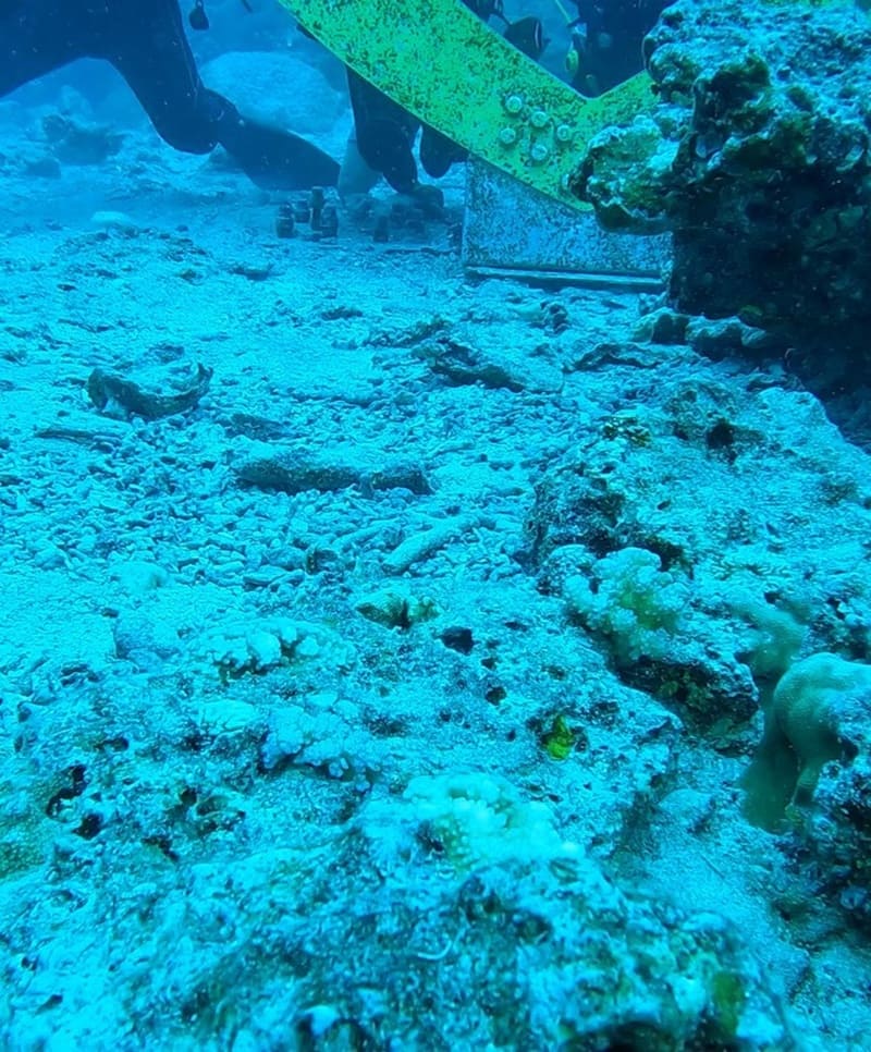 「HIJAU青嶼味旅行館」綠島極致水上樂活之旅,全程與自然共振,星空浪漫,尊享頂級民宿與專業水肺體驗!