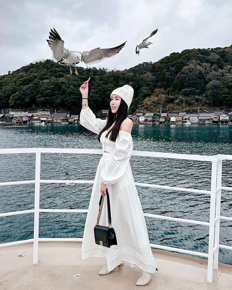「伊根舟屋」日本海之京都｜與海鷗互動樂趣無窮，纜車遊天橋立，獨立座位刺激感十足！