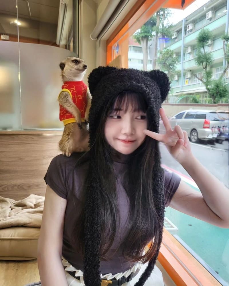 狐獴真的太可愛啦~彷彿看到真人版獅子王?!75度獴是全台少數的動物景觀餐廳 除了能用餐外還能看到超級可愛的狐獴,而且餐點美味和用餐環境也舒適明亮,很適合家庭或是朋友一起來聚餐
