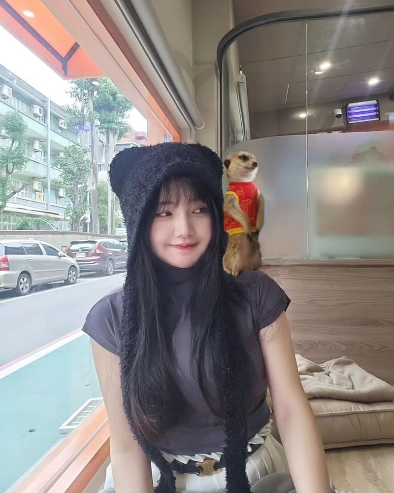 狐獴真的太可愛啦~彷彿看到真人版獅子王?!75度獴是全台少數的動物景觀餐廳 除了能用餐外還能看到超級可愛的狐獴,而且餐點美味和用餐環境也舒適明亮,很適合家庭或是朋友一起來聚餐