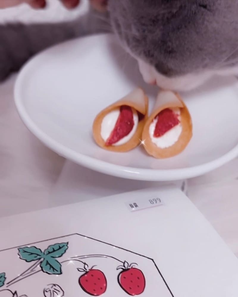 「AUDREY」草莓花束餅乾｜東京必買伴手禮、NY起司餅乾、超夯人氣、可愛又好吃！