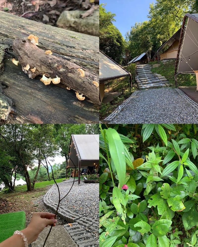 「趣兒Chill:藍鵲菲菲」陽明山上豪華露營|一泊三食、美食享受、釋放自我旅行 !