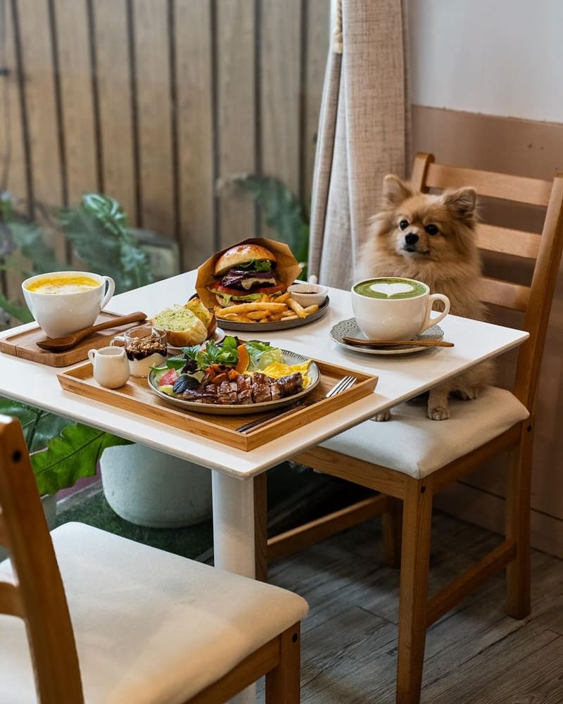 「好鄰·食作」台南早午餐|驚艷口味多元,手打漢堡、特製濃湯、靜岡抹茶鮮奶,品味滿分!
