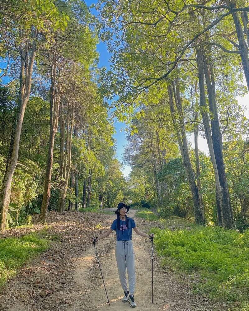 「三汀山望高寮」台中小百岳No.43|太平區之眼、輕鬆爬山、觀雲嶺賞日落!