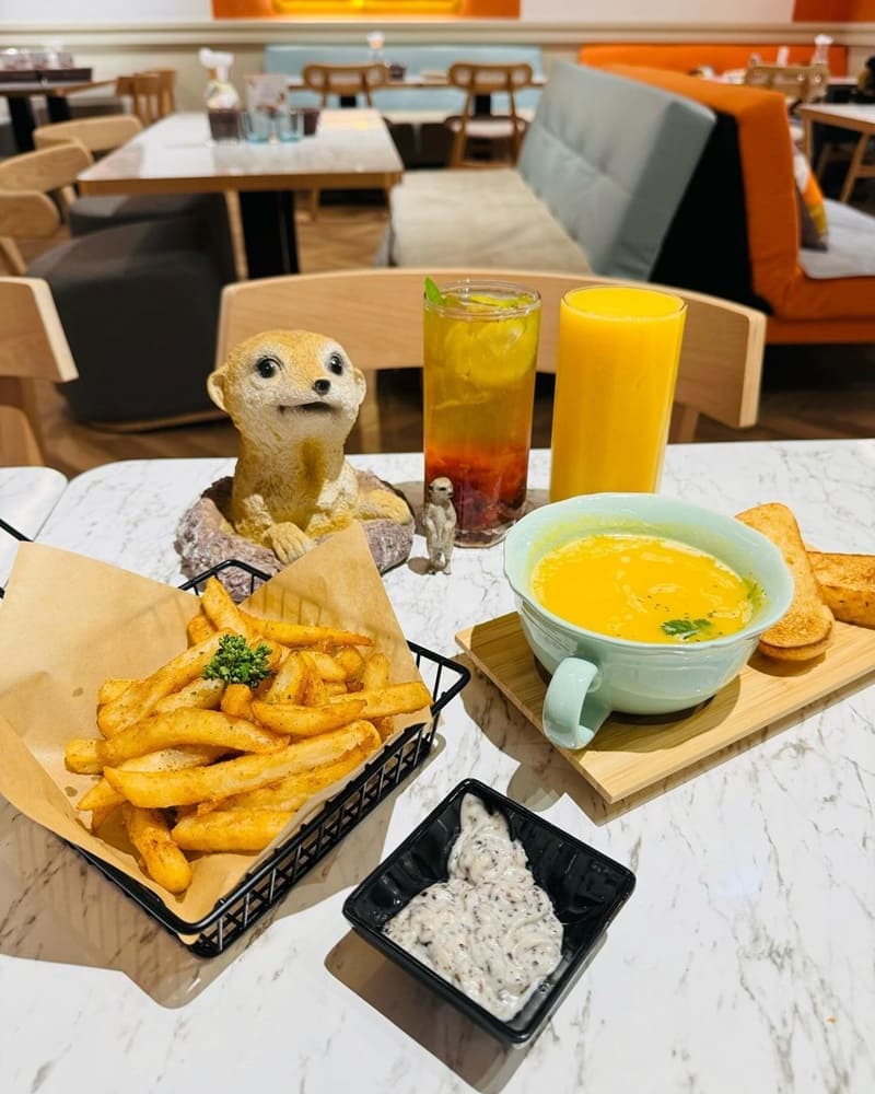 「Meerkat75 Café」台北大安狐獴餐廳！近距離互動狐獴、可愛餐點與愉悅氛圍！