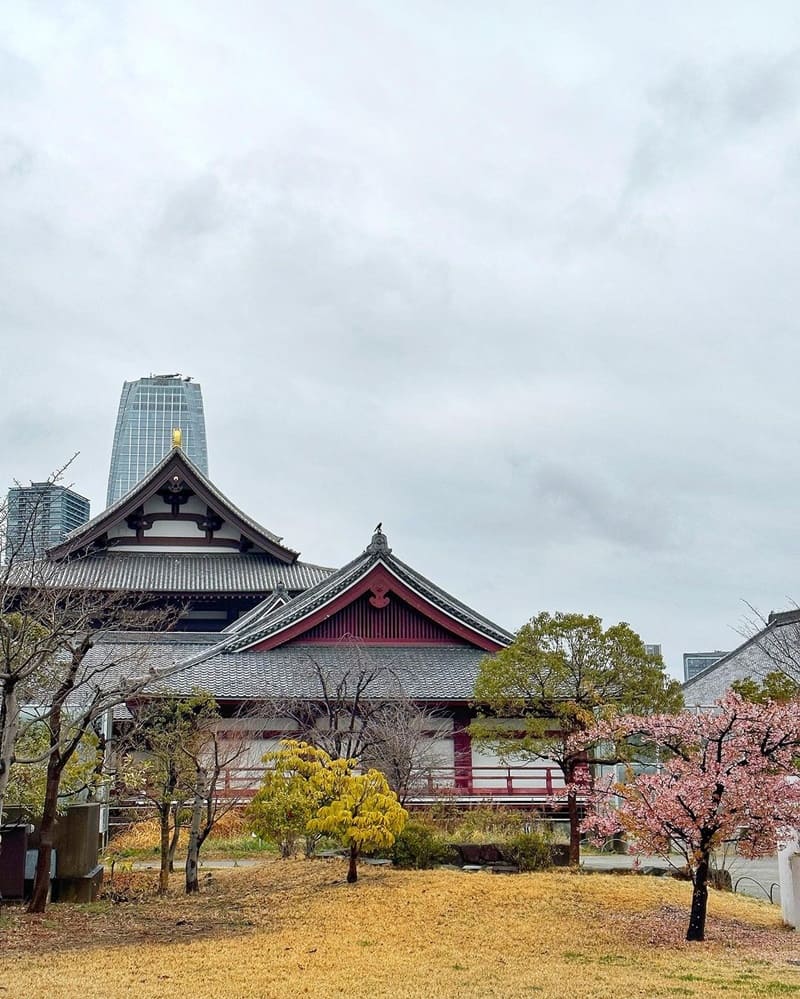 「芝公園」極致日本迷戀！東京鐵塔必拍！獨特視角、草地襯托藍天美景、EJ推薦！