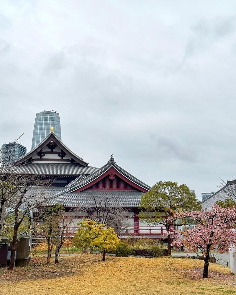 「芝公園」極致日本迷戀!東京鐵塔必拍!獨特視角、草地襯托藍天美景、EJ推薦!
