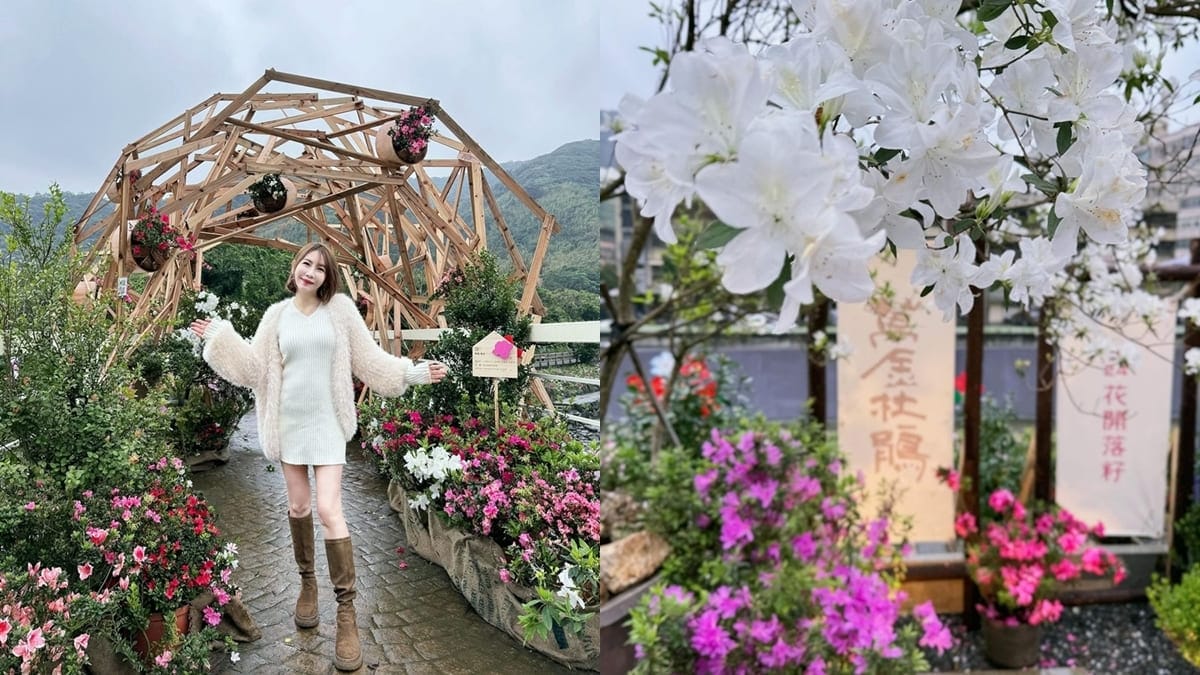「萬金杜鵑花展」新北市日式庭園美景、溫室饗宴、專業攝影打卡！