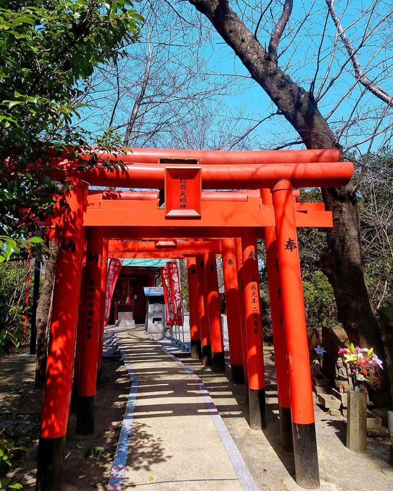 「愛宕神社參道」爬上出世石階！知名西公園、探索日本賞櫻花、俯瞰福岡市區！