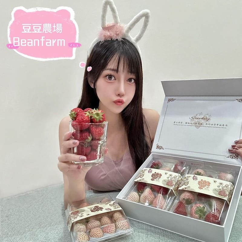 「豆豆農場BeanFarm」專業無農藥栽培草莓！品質保證、日本標準包裝、預約領取享受甜蜜滋味！
