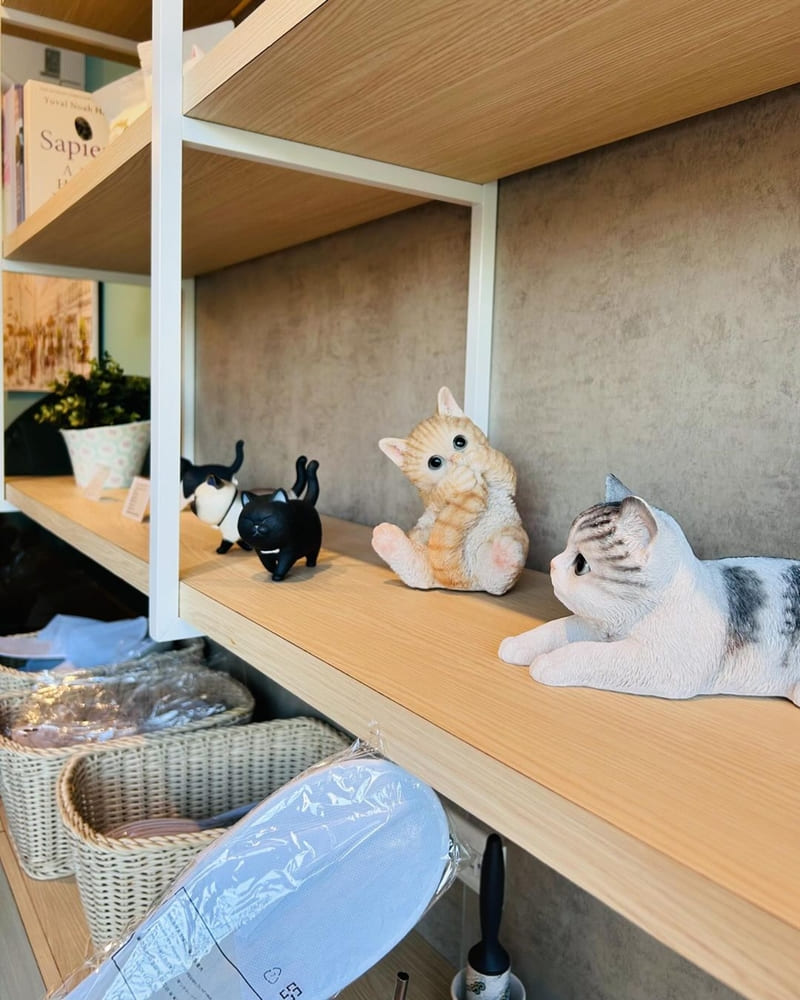 「貓咖啡」嘉義西區貓咪咖啡廳！新開幕吸貓時光、可愛貓咪共享下午茶時光！