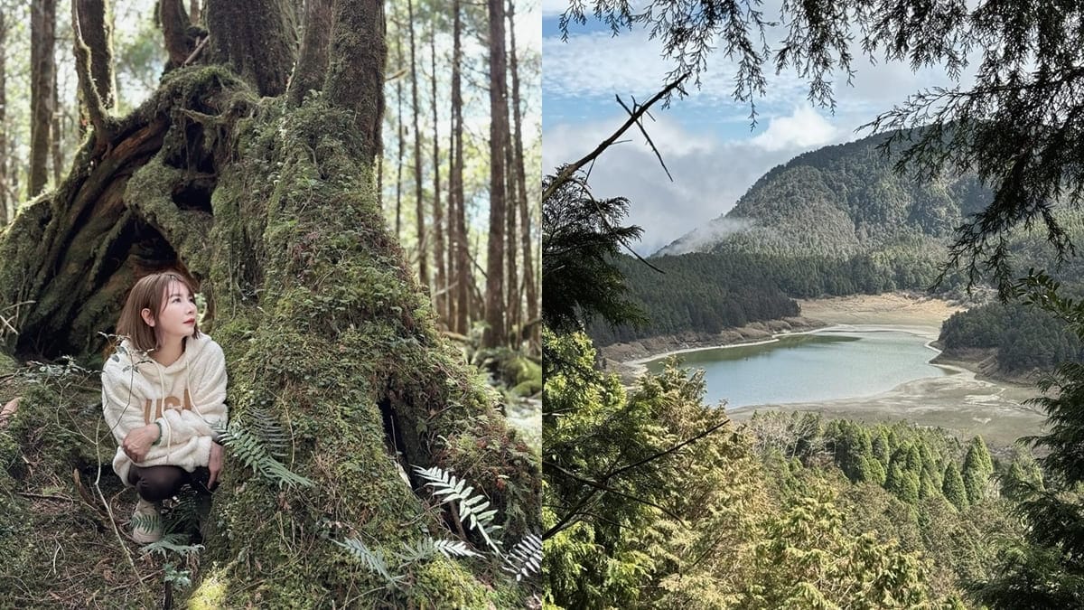「翠峰湖環山步道」寂靜山徑、夢幻森林之旅、寧靜探索自然之美、挑戰自我！
