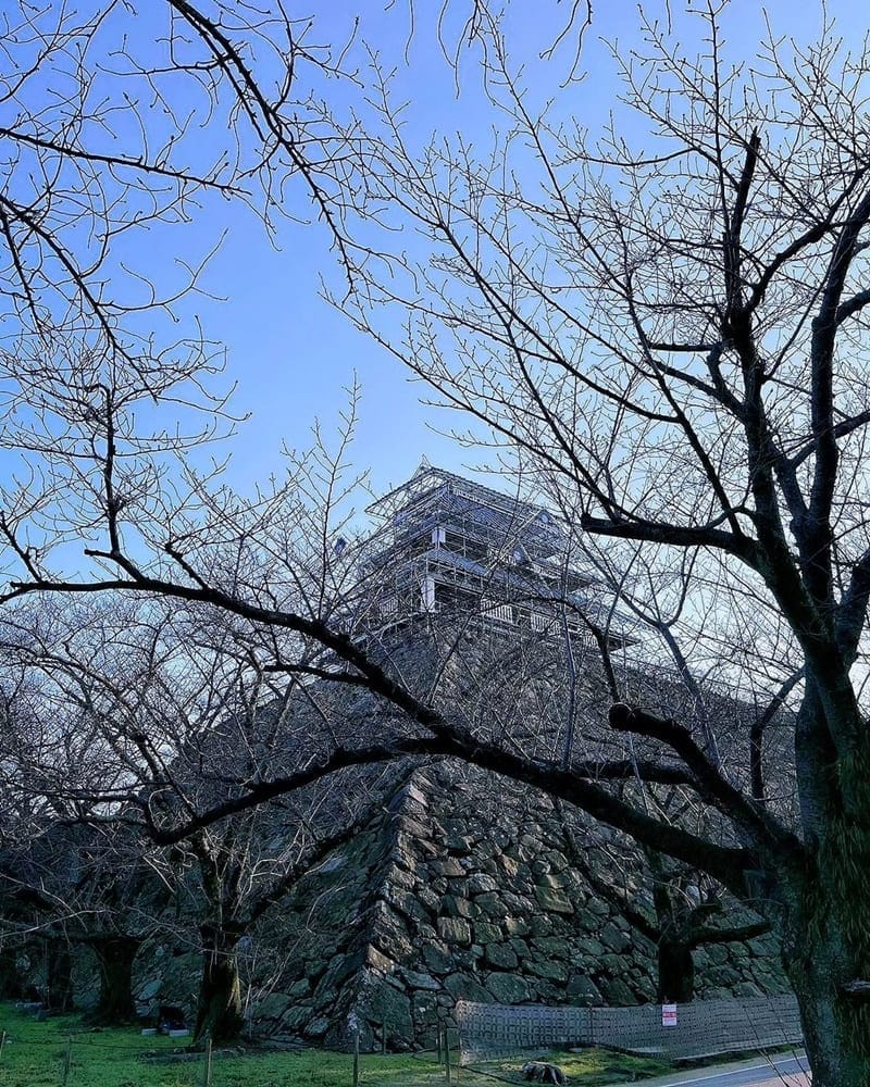 「福岡賞櫻四季花卉」舞鶴公園自然豐饒、歷史氣息！大濠公園、休憩賞櫻景點！